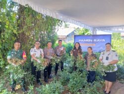 Lapas Tondano Dukung Ketahanan Pangan Nasional  Panen Raya Serentak