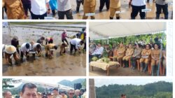 Wabup Vasung Dampingi Wagub Sulut Victor Mailangkay Dalam Program Gerakan Tanam Padi Dukung Swasembada Pangan. 