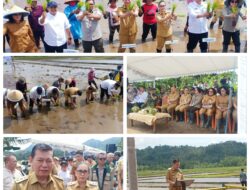 Wabup Vasung Dampingi Wagub Sulut Victor Mailangkay Dalam Program Gerakan Tanam Padi Dukung Swasembada Pangan. 