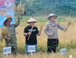 Bupati Robby Dondokambey Hadiri Panen Perdana Program Ketahanan Pangan Nasional di Tondano Timur