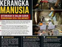 Kerangka Manusia Ditemukan di Gubuk Perkebunan, Warga Toulimembet Geger. 